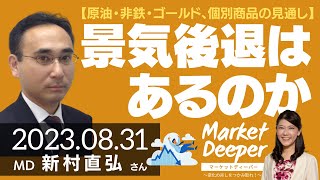 【原油・非鉄・ゴールド、個別商品の見通し】景気後退はあるのか（新村直弘さん） マーケットディーパー [upl. by Stockmon]