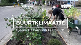 TV Charlois  Buurtklimaatje in actie  Carnisser Leefbuurt [upl. by Dnaletak]