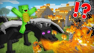 Mikey amp JJ Adopted Dragons in Minecraft Maizen Mazien Mizen [upl. by Maud992]