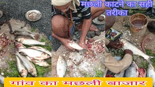 गांव का मछली बाजार । मछली काटने का सही तरीका । amezing fhish cutting fhising fhish sanjaysadhoo [upl. by Geaghan]