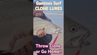 Gamtoos Surf  Dusky Kob on Clone Lure [upl. by Dlorah]