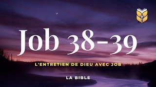 La Bible Job 3839 Louis Segond BibleVision [upl. by King]