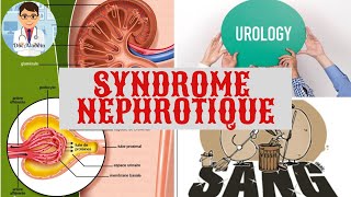 SYNDROME NEPHROTIQUE DÉFINITION  PHYSIOPATHOLOGIE  CAUSE  TRAITEMENT [upl. by Hannazus]