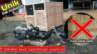 Kandang ayam minimalis untuk pengiriman dan perawatan anak ayam [upl. by Jennilee]