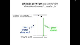 Fluorophore Brightness [upl. by Enelrihs]