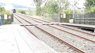 SR Tangmere 34067 powers through Giggleswick Station on Thursday 25th July 2024 [upl. by Darnell365]