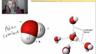 Properties of Water Acids and Bases  Part 1 [upl. by Oicul]