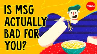 What is MSG and is it actually bad for you  Sarah E Tracy [upl. by Gayler246]