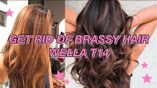 GREY HAIR USING WELLA T14 amp 050 [upl. by Netnerb]