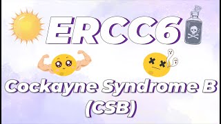 The Beginner’s Guide to Cockayne Syndrome B and the ERCC6 Gene [upl. by Bevan58]