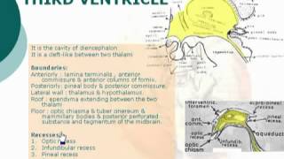 81 Third ventricle الدكتور أحمد كمال المقطع الأخير [upl. by Obie]