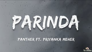 Panther  Parinda Lyrics Ft Priyanka Meher  Flying Towards The City Mixtape [upl. by Yanrahs]