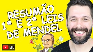 PRIMEIRA E SEGUNDA LEIS DE MENDEL  Resumo e comparação  Biologia com Samuel Cunha [upl. by Hyacinthie]