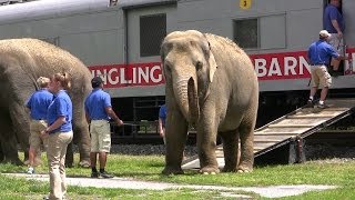 Ringling Brothers Circus Train and Animal Walk at Hershey [upl. by Ahsratan]