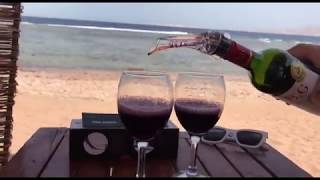 Wine Aerator Review  Best Wine Aerator Pourer Spout  How to Use [upl. by Arinay]