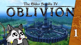 Un retour nostalgique  Oblivion avec Deriv 1 [upl. by Okimik]