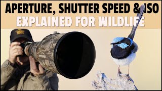 Aperture Shutter Speed amp ISO Explained for Wildlife Photography  What Settings to Use for Wildlife [upl. by Franckot]