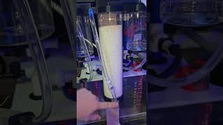 How to connect the Hex CO2 Scrubber to your skimmer [upl. by Jemimah]