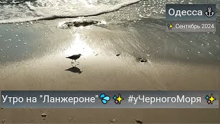 Одесса⚓Атмосфера раннего утра на quotЛанжеронеquot💦✨ уЧерногоМоря ✨ Сентябрь 2024 [upl. by Saqaw]