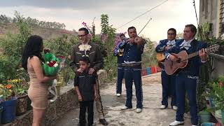 Mariachi Proposal  Propuesta de Matrimonio con Mariachi [upl. by Adnohral]