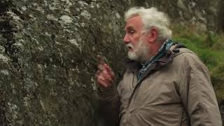 Talking about lichen at Gilfach with Ray Woods [upl. by Arrac]