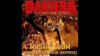 MASTIC SCUM  Reprise Sandblasted Skin PANTERA COVER [upl. by Elenahc58]