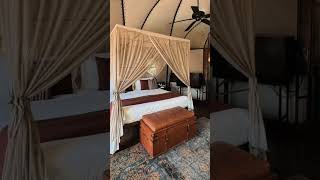 යමුද සුන්දර නිවාඩුවක් ගත කරන්න යාලට🍃🌞😱 wild Coast Tented Lodge Yala yalavideo travelvlog [upl. by Anivas14]