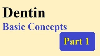 Dentin part 1 BASIC CONCEPTS [upl. by Htezzil965]