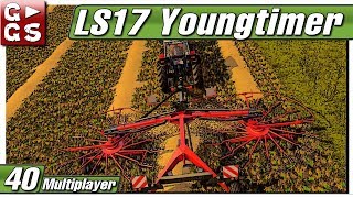 LS17 YOUNGTIMER 🚜 Stroh schwaden 40 Hermanns Eck Talk [upl. by Roach]