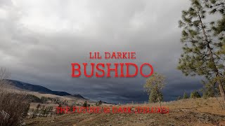 LiL Darkie  BUSHIDO Lyrics [upl. by Egres386]