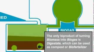 Biomass Gasification [upl. by Pelmas818]