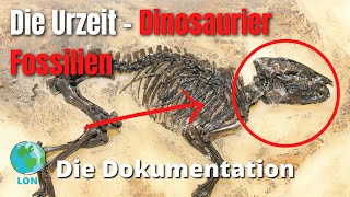 Die Urzeit  Fossilienfunde der Dinosaurier 2021  DEUTSCH  DOKU  DINOSAURIER [upl. by Merril]