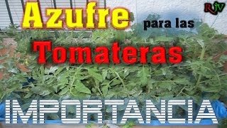 AZUFRE para las TOMATERAS como APLICAR y Beneficios El ratillo de Juan Valentín [upl. by Everest657]