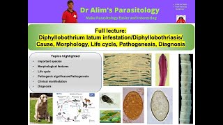 Diphyllobothrium latum or Diphyllobothriasis Causal agent Morphology Pathogenesis amp Diagnosis [upl. by Novanod]