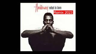 Haddaway  What is Love Remix 2023 [upl. by Florry]