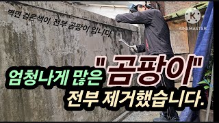 눈에 보이는 곰팡이를 완전히 제거하는건 어렵지 않습니다 [upl. by Niltak]