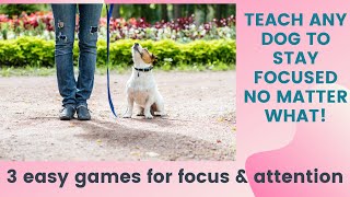 3 Easy Engagement Games for Building Focus amp Attention  Dog Training Tutorial [upl. by Selemas]