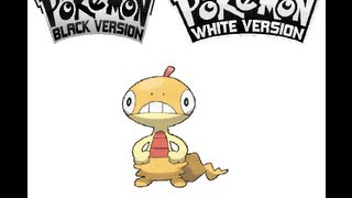 Pokemon BlackWhite  How to catch a Scraggy [upl. by Ahsitnauq747]