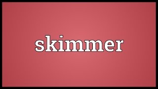 Skimmer Meaning [upl. by Tufts]