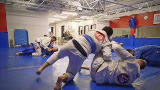 BJJ 20240622 blue belt promotion [upl. by Natalie]