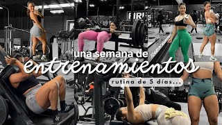 UNA SEMANA DE MI ENTRENAMIENTO EN GIMNASIO  mi planificación para ganar músculo y fuerza [upl. by Nagle]