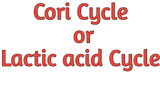 Cori cycle or Lactic acid cycle ll significance [upl. by Kylila]