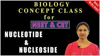 Nucleotide and Nucleoside  Structure amp Difference  NEET  CET [upl. by Dnalevelc834]