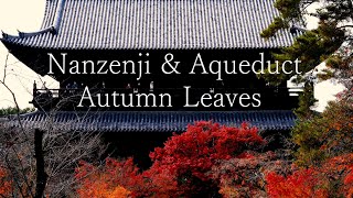 【4K】京都 南禅寺と水路閣の紅葉：Nanzenji amp Aqueduct Autumn Leaves in Kyoto [upl. by Obadiah220]