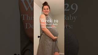 29 Weeks Pregnant Baby Development [upl. by Maitland831]