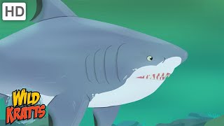 Wild Kratts  Sharks  Apex Predators of the Oceans [upl. by Eita]