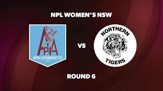 NPL Womens NSW Round 6 APIA Leichhardt FC v Northern Tigers FC [upl. by Niall]