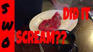 Cooking Live Lobster [upl. by Sug]