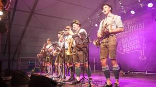 Brass Wiesn 2017  Tegernseer Tanzlmusi [upl. by Feodor]