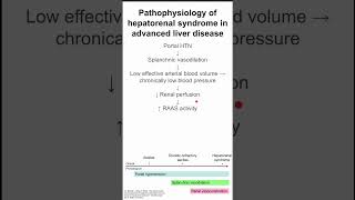 Pathophysiology of hepatorenal syndrome in advanced liver disease [upl. by Yelac]